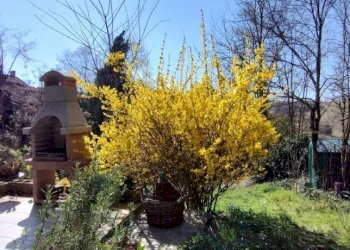 Giardino - Villa Bruno - foto 9