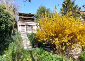 Giardino - Villa Bruno - foto 15