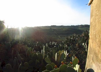 Rustic Via Vassallo, Sciacca - photo 9
