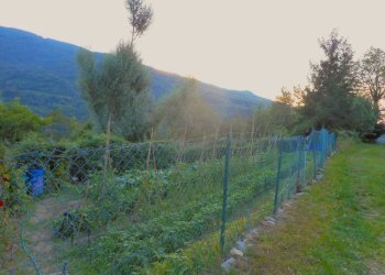 Terreno - Rustico Regione Lunassi, Fabbrica Curone - foto 14