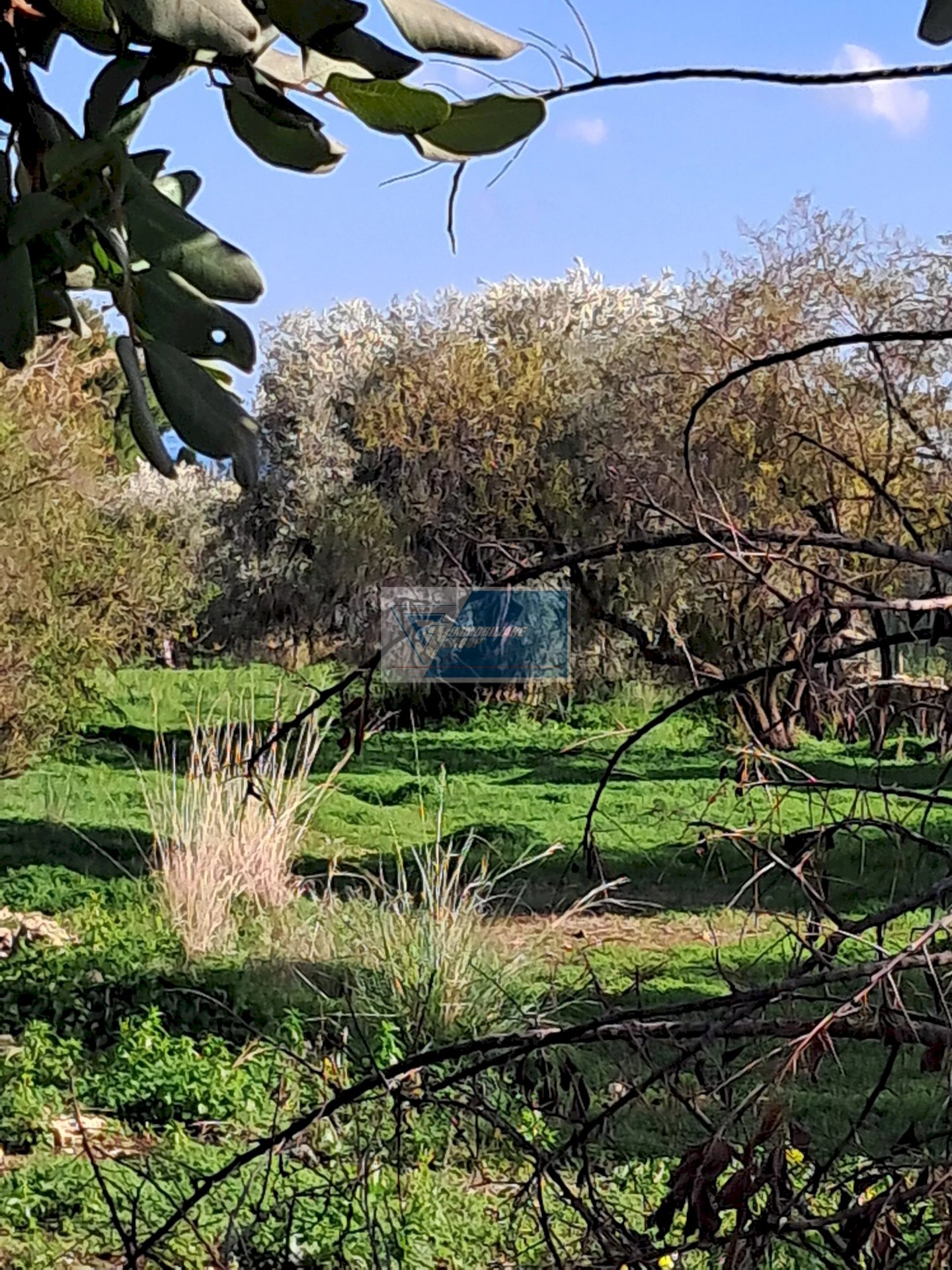 Terreno agricolo CONTRADA TALA PRIOLO GARGALLO, Priolo Gargallo - foto 1