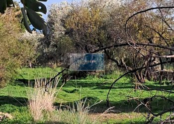Terreno agricolo CONTRADA TALA PRIOLO GARGALLO, Priolo Gargallo - foto 1