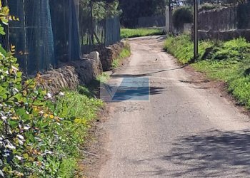 Terreno agricolo CONTRADA TALA PRIOLO GARGALLO, Priolo Gargallo - foto 2