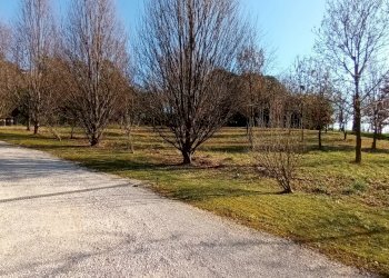 Villa San Pietro di Feletto - foto 47