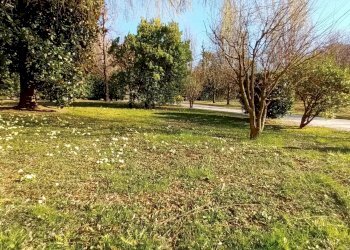 Villa San Pietro di Feletto - foto 49