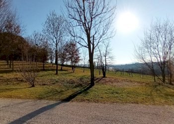Villa San Pietro di Feletto - foto 48