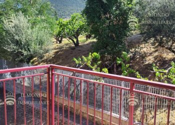 Ufficio Viale Tivoli, Palombara Sabina - foto 10