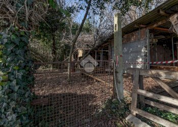 Villa Via Becchi Tognini Est, Ravenna (zona San Zaccaria) - foto 14