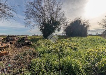 Villa Via Becchi Tognini Est, Ravenna (zona San Zaccaria) - foto 15