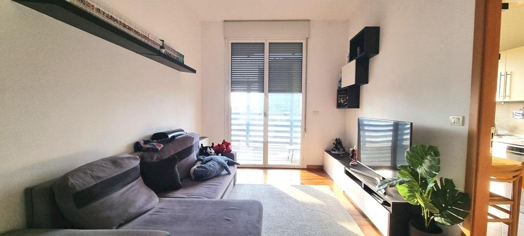 Trilocale Viale Angelo Masini, Bologna (zona Centro Storico) - foto 3