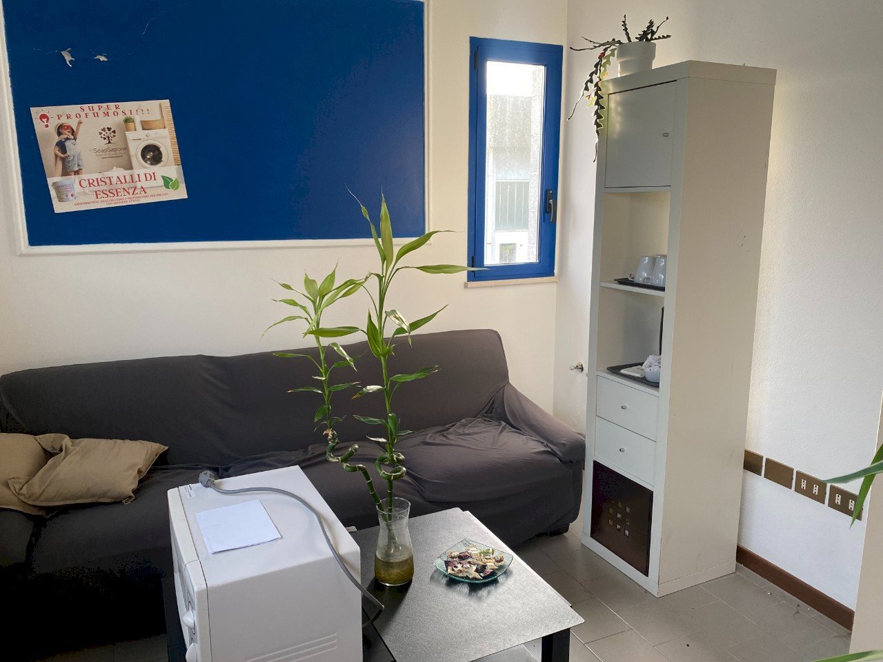 Shed Forlì - photo 3