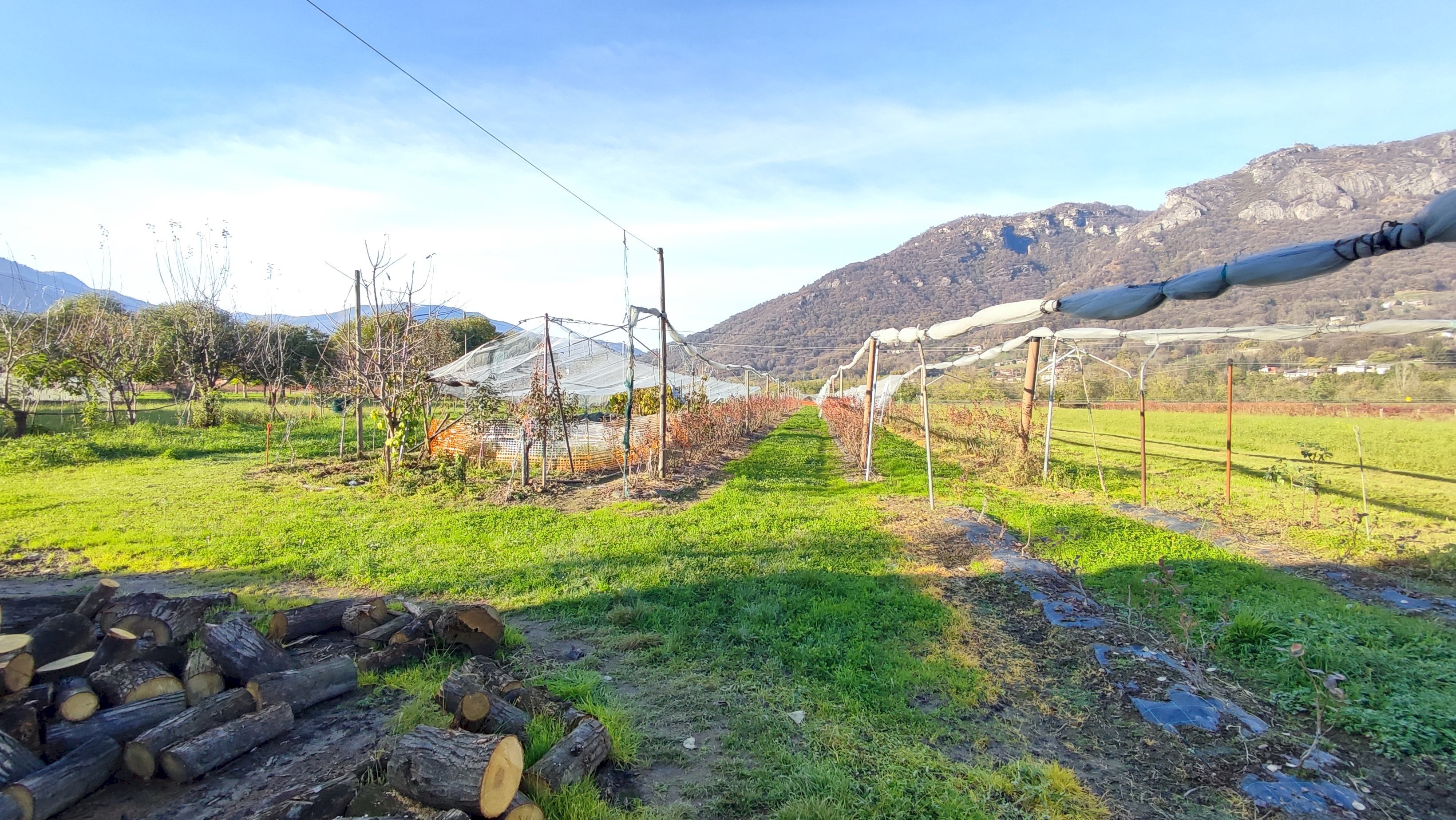 Independent house Via Valle Po, 12, Sanfront - photo 3