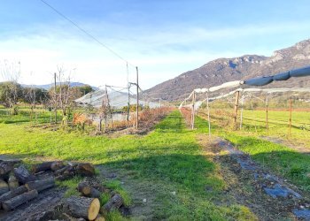 Independent house Via Valle Po, 12, Sanfront - photo 3