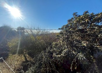 Cascina Castelnuovo Don Bosco - foto 24