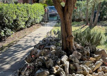 Villa Bifamiliare Via Don Francesco Mercanti, Polpenazze del Garda - foto 9