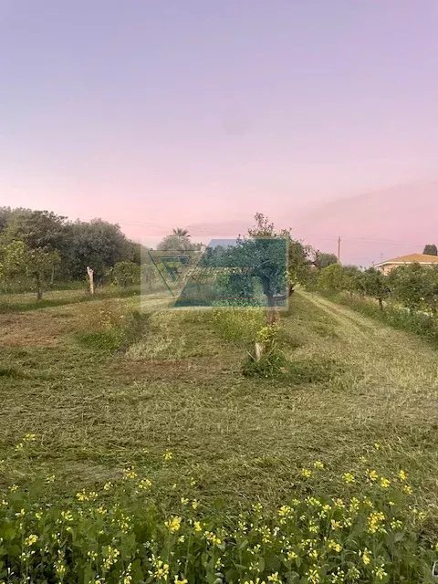 Warehouse C.da Carancino, Siracusa - photo 3