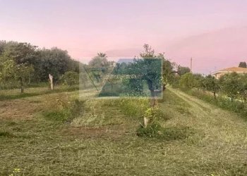 Magazzino C.da Carancino, Siracusa - foto 3