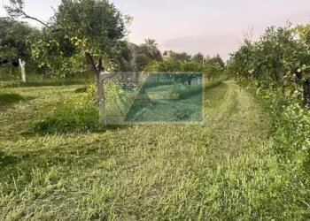 Magazzino C.da Carancino, Siracusa - foto 4