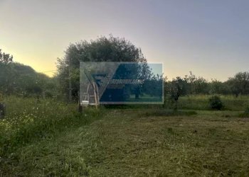 Magazzino C.da Carancino, Siracusa - foto 5