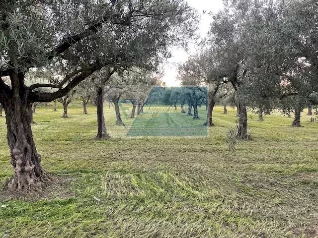 Agricultural land C.da  Carancino, Siracusa - photo 2