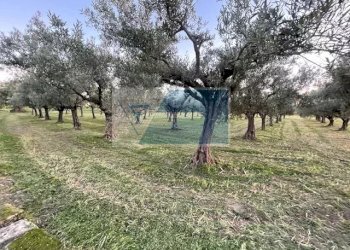 Terreno agricolo C.da  Carancino, Siracusa - foto 1