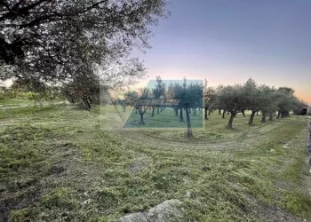 Terreno agricolo C.da  Carancino, Siracusa - foto 6