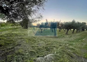 Terreno agricolo C.da  Carancino, Siracusa - foto 7