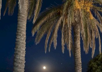 Appartamento San Vito Lo Capo - foto 10