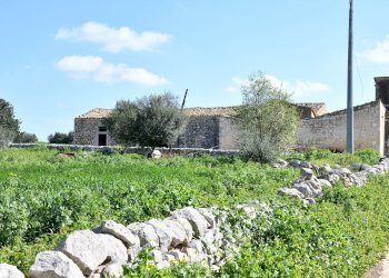 Villa Modica - foto 47