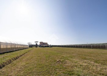 Independent house Via Campone Sala, Cesenatico - photo 26