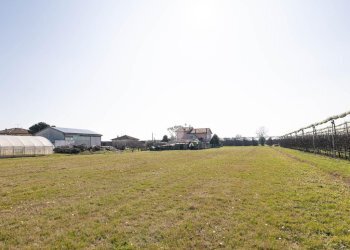 Independent house Via Campone Sala, Cesenatico - photo 28