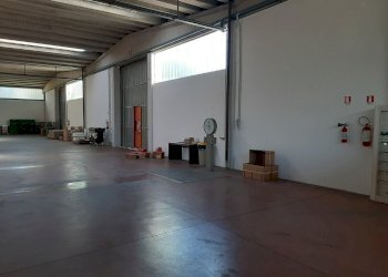 Capannone Albinea - foto 4