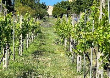 Casa indipendente Petritoli - foto 7