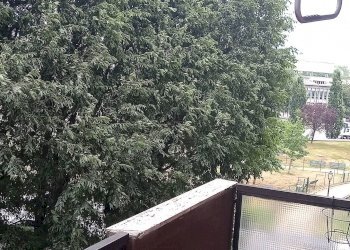 Trilocale Milano - foto 14