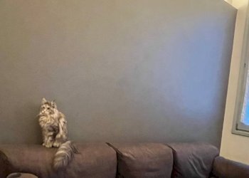 Trilocale Mantova - foto 8