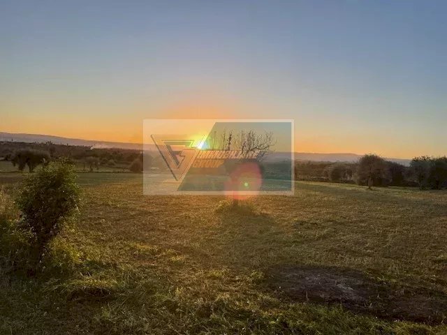 Terreno agricolo C.da Carancino, Siracusa - foto 2