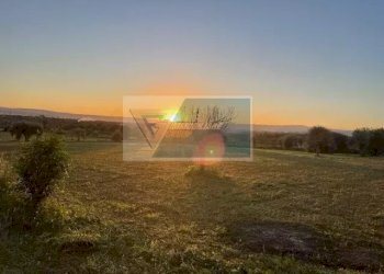 Terreno agricolo C.da Carancino, Siracusa - foto 2