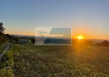 Terreno agricolo C.da Carancino, Siracusa - foto 4