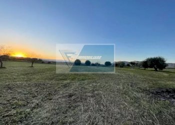 Terreno agricolo C.da Carancino, Siracusa - foto 11