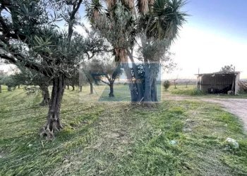 Terreno agricolo C.da Carancino, Siracusa - foto 12