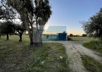 Terreno agricolo C.da Carancino, Siracusa - foto 13