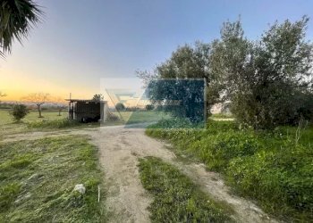 Terreno agricolo C.da Carancino, Siracusa - foto 14