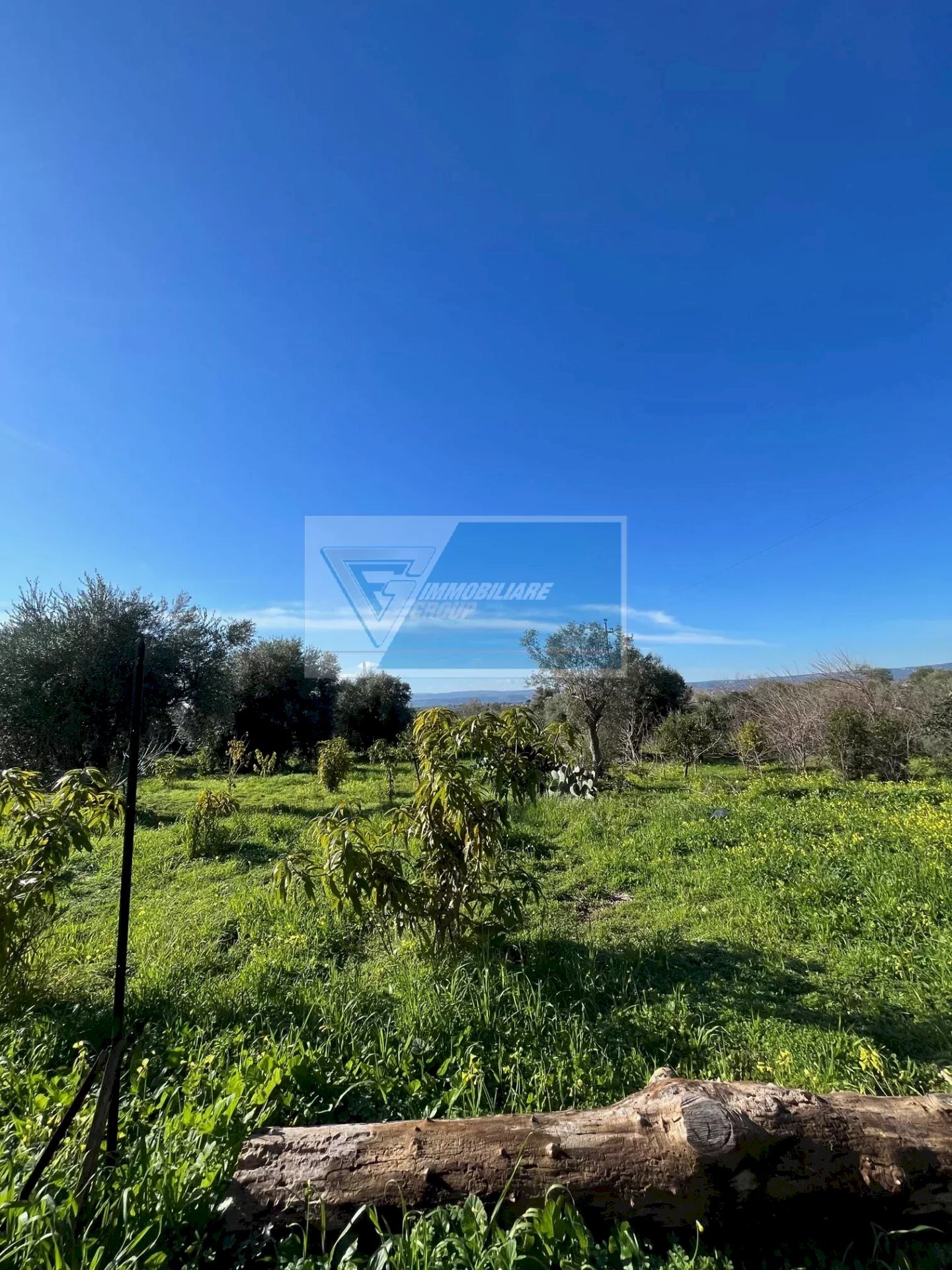 Terreno agricolo Trav. Mulino Marino, Siracusa - foto 1