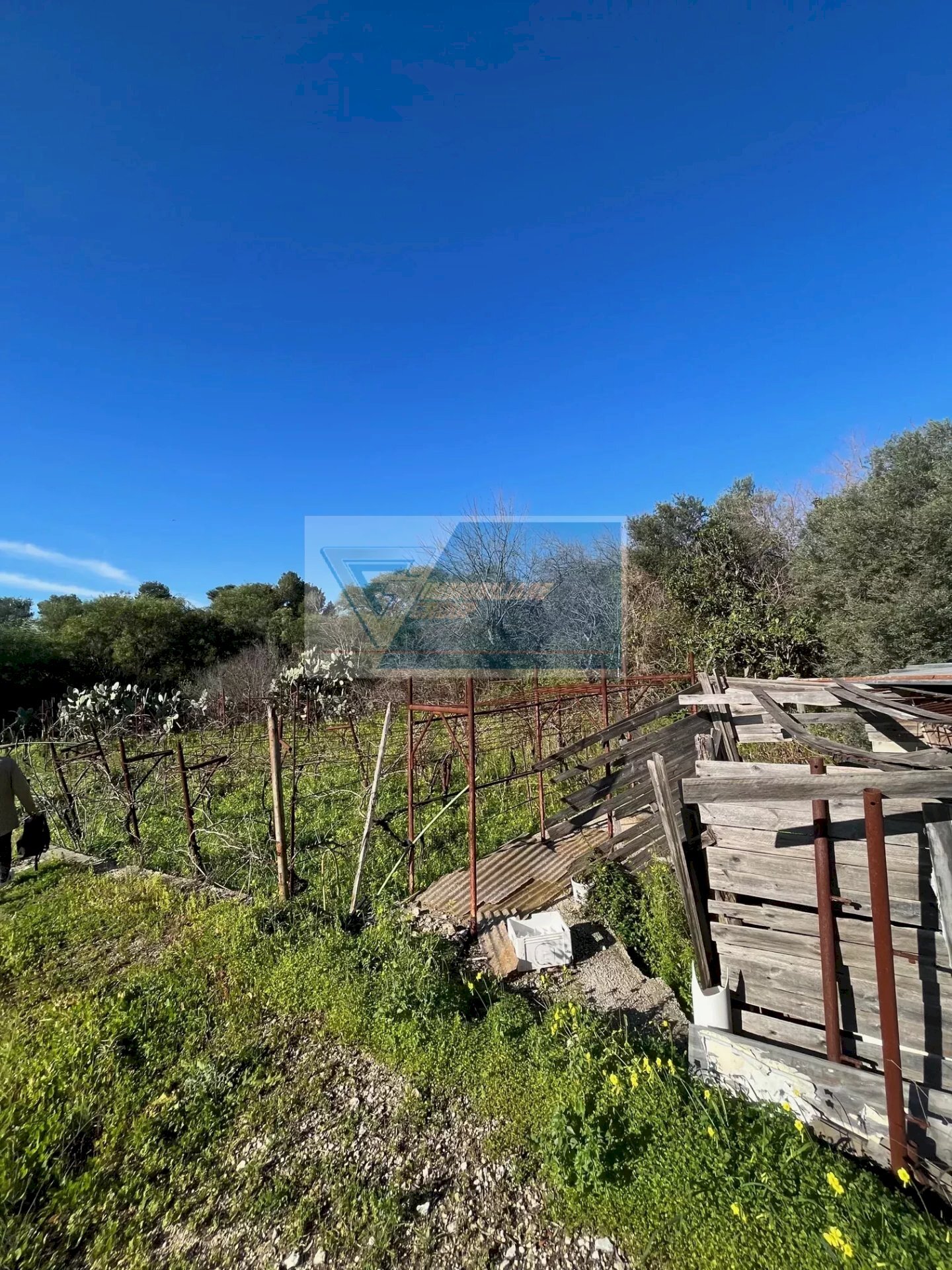 Terreno agricolo Trav. Mulino Marino, Siracusa - foto 3