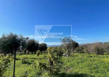 Terreno agricolo Trav. Mulino Marino, Siracusa - foto 1