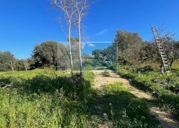 Terreno agricolo Trav. Mulino Marino, Siracusa - foto 2