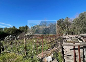 Terreno agricolo Trav. Mulino Marino, Siracusa - foto 3