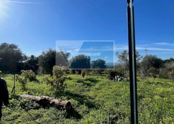 Terreno agricolo Trav. Mulino Marino, Siracusa - foto 4