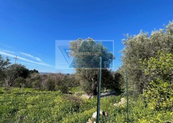 Terreno agricolo Trav. Mulino Marino, Siracusa - foto 5