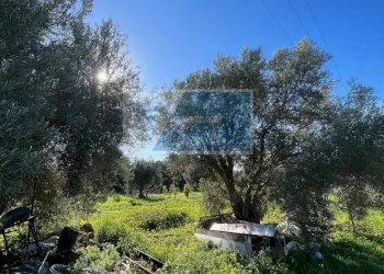 Terreno agricolo Trav. Mulino Marino, Siracusa - foto 6